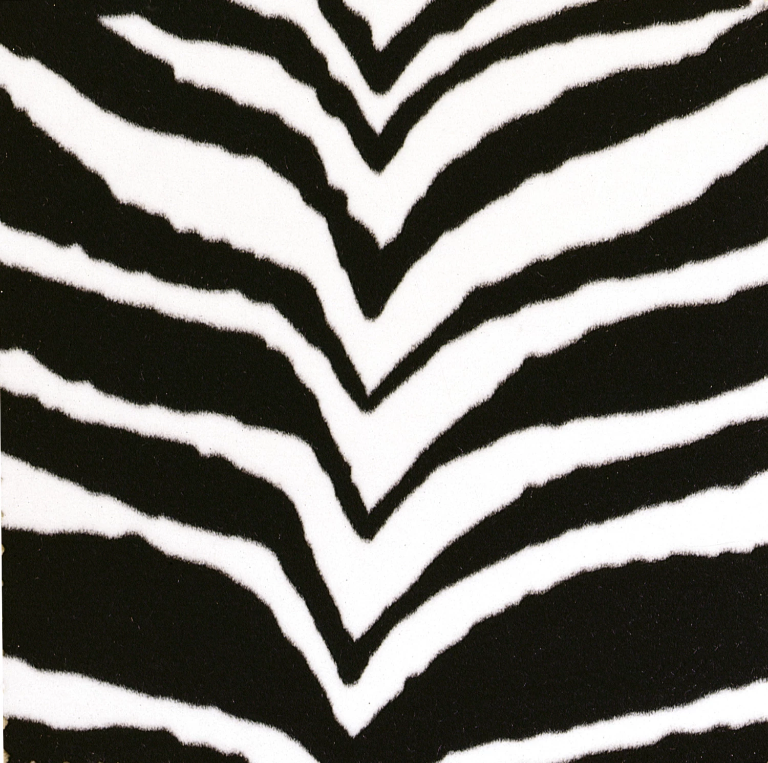 Contemporary Task Chair With Flex Back By Work Smart - Office Star - Madison Seating 5 Contemporary Task Chair With Flex Back By Work Smart - Office Star - Madison Seating - Image 3