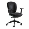 Rae Ergonomic Task Chair By Safco - Madison Seating -furniture Shop Rae Ergonomic Task Chair by Safco