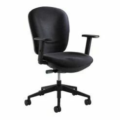 Rae Ergonomic Task Chair By Safco - Madison Seating